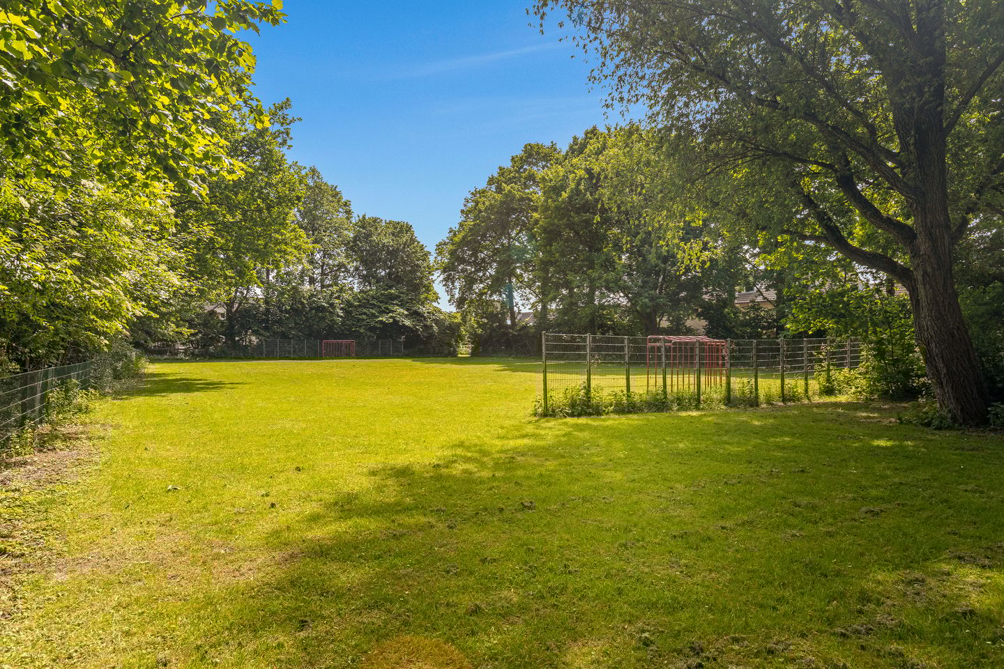 Photo 34 of Cantharel 18