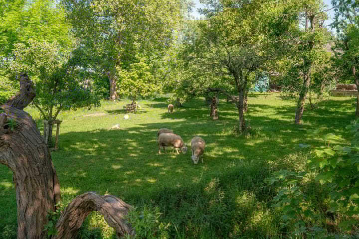 Photo 56 of Gein-Noord 16