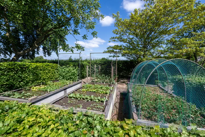 Foto 65 van Nilantsweg 99