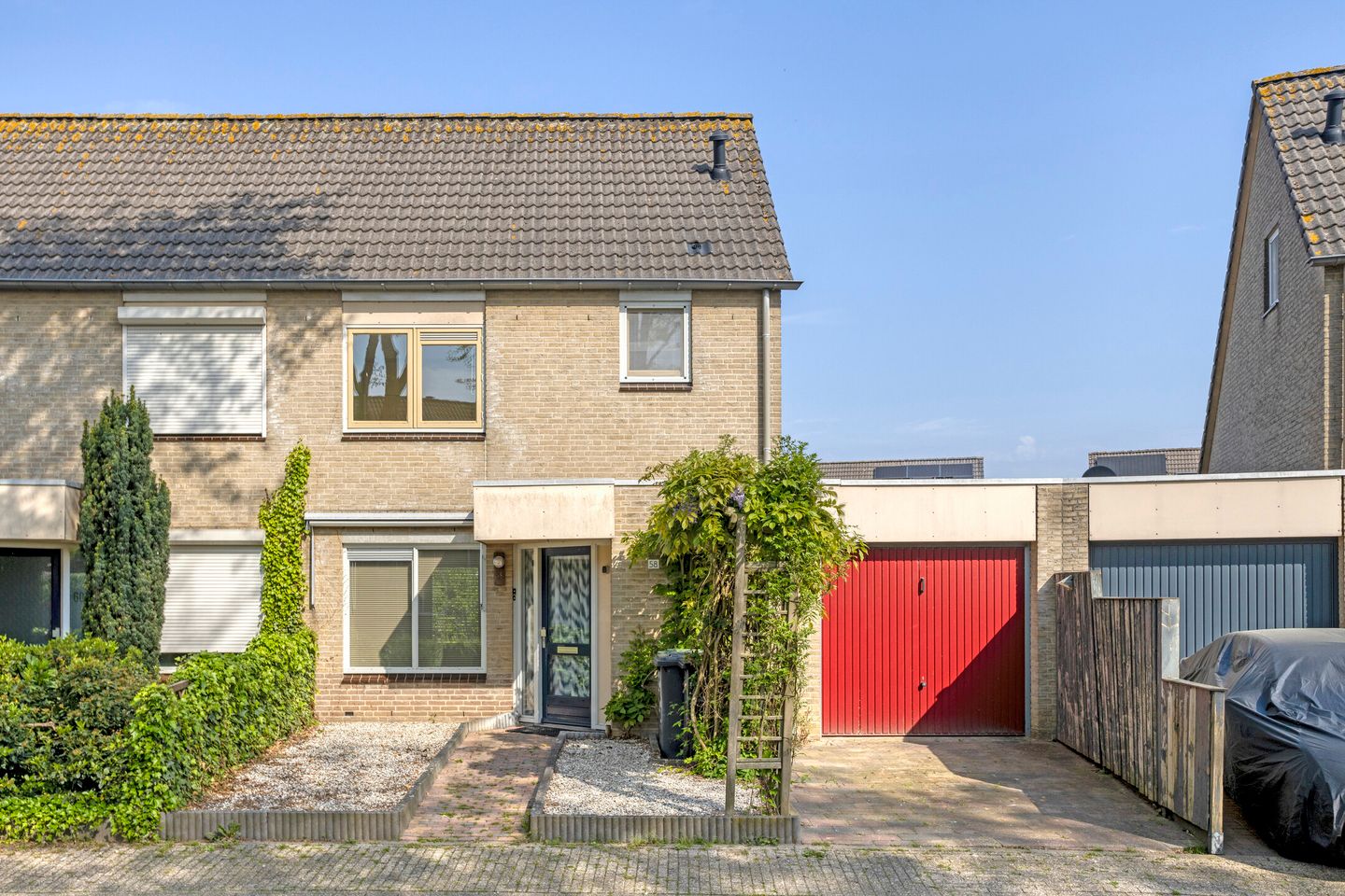 Foto 1 van Golden Delicious 58