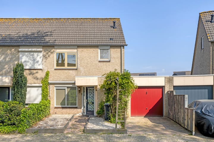 Foto 1 van Golden Delicious 58