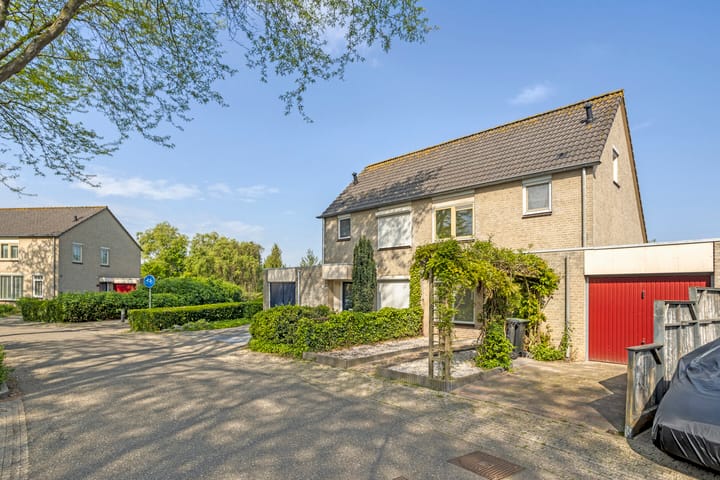 Foto 5 van Golden Delicious 58