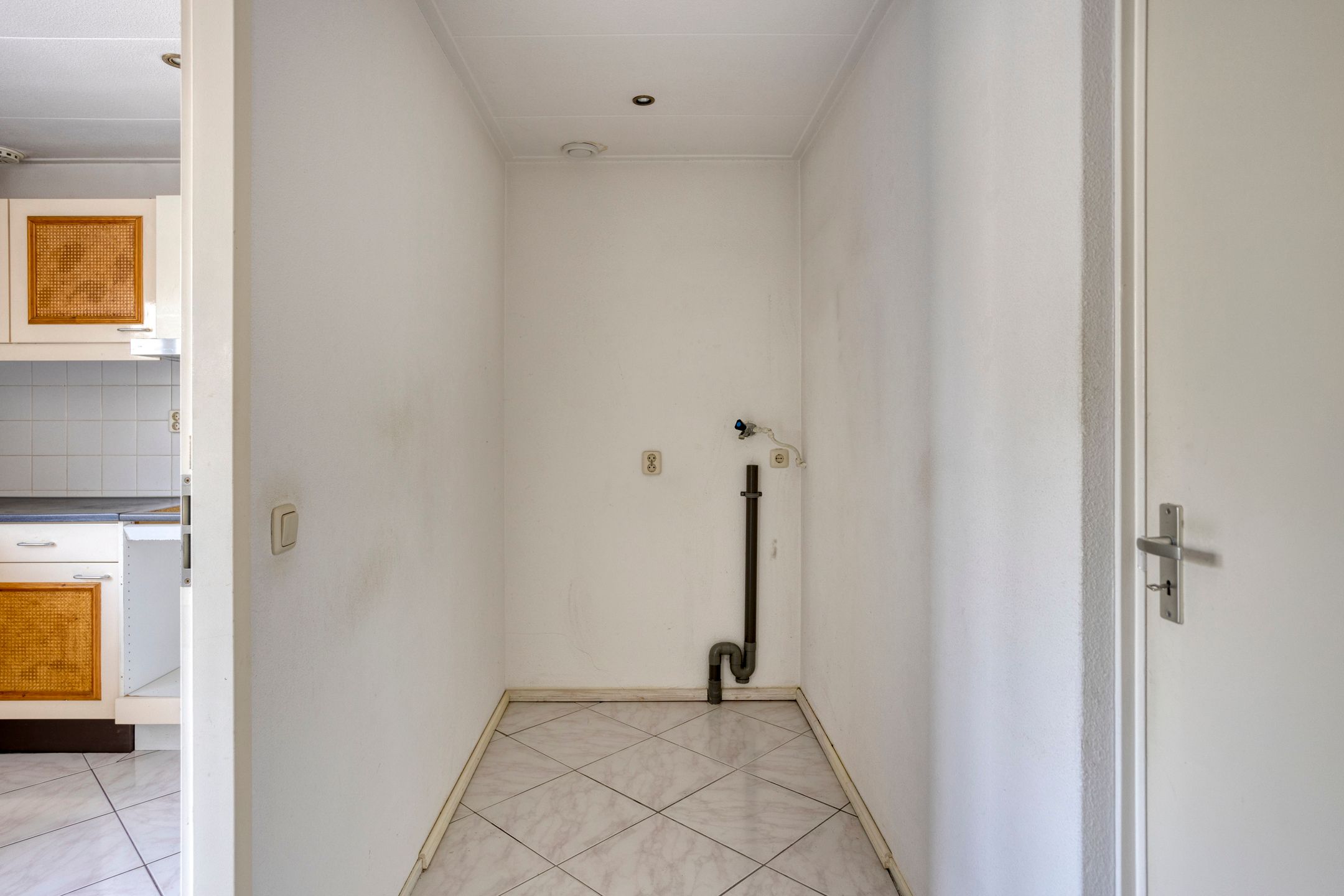 Foto 12 van Golden Delicious 58