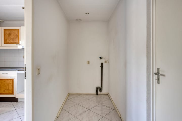 Foto 12 van Golden Delicious 58