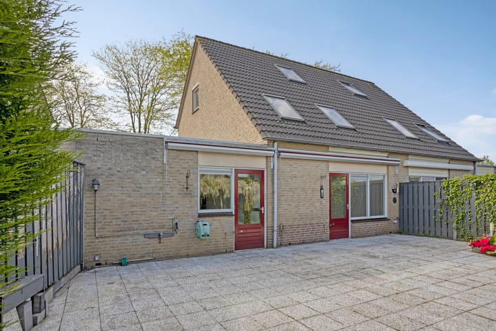 Foto 14 van Golden Delicious 58