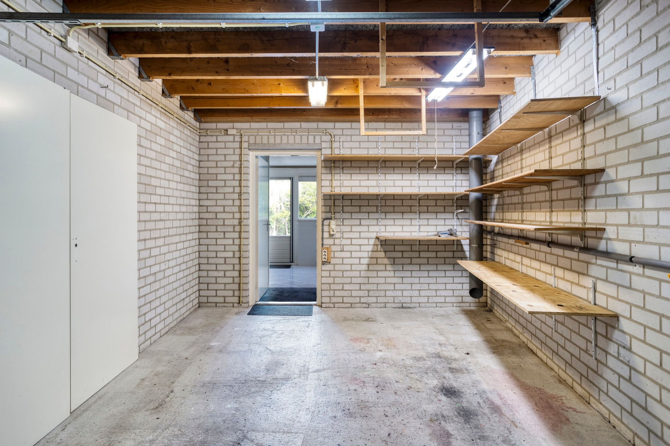 Foto 15 van Golden Delicious 58