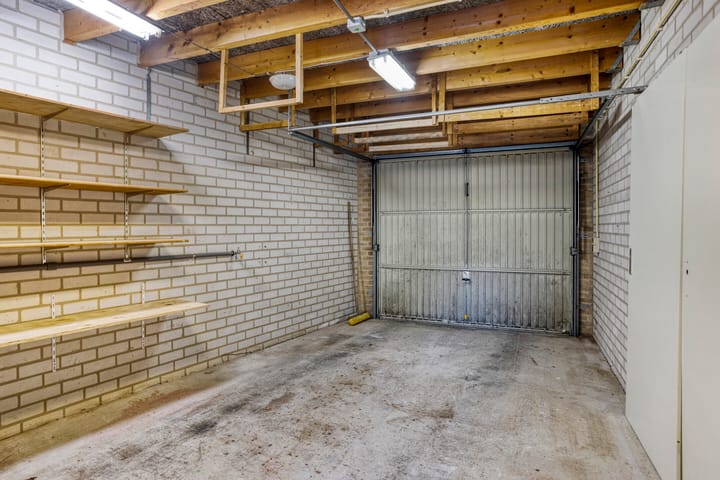 Foto 16 van Golden Delicious 58