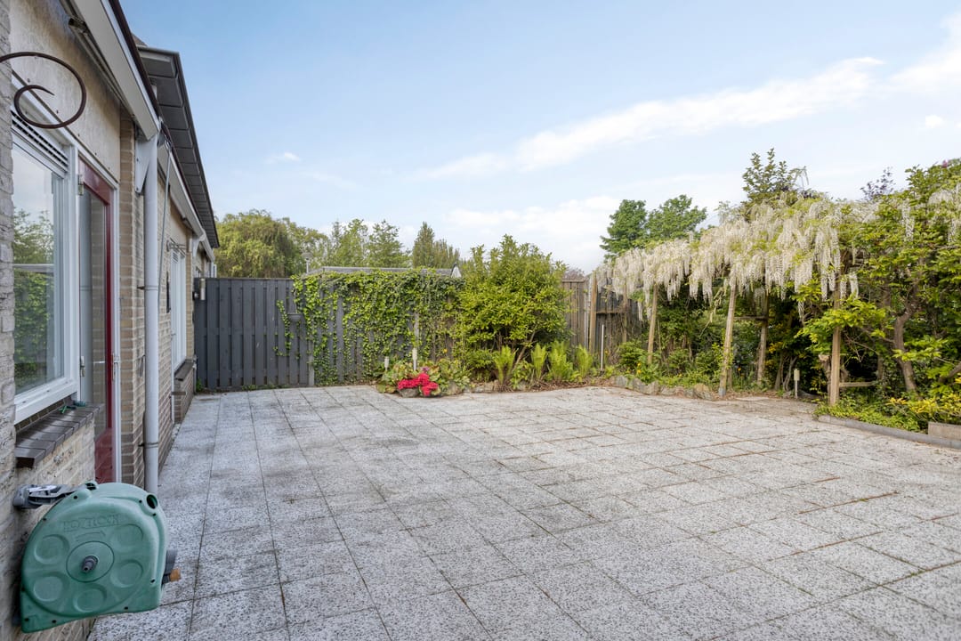 Foto 17 van Golden Delicious 58