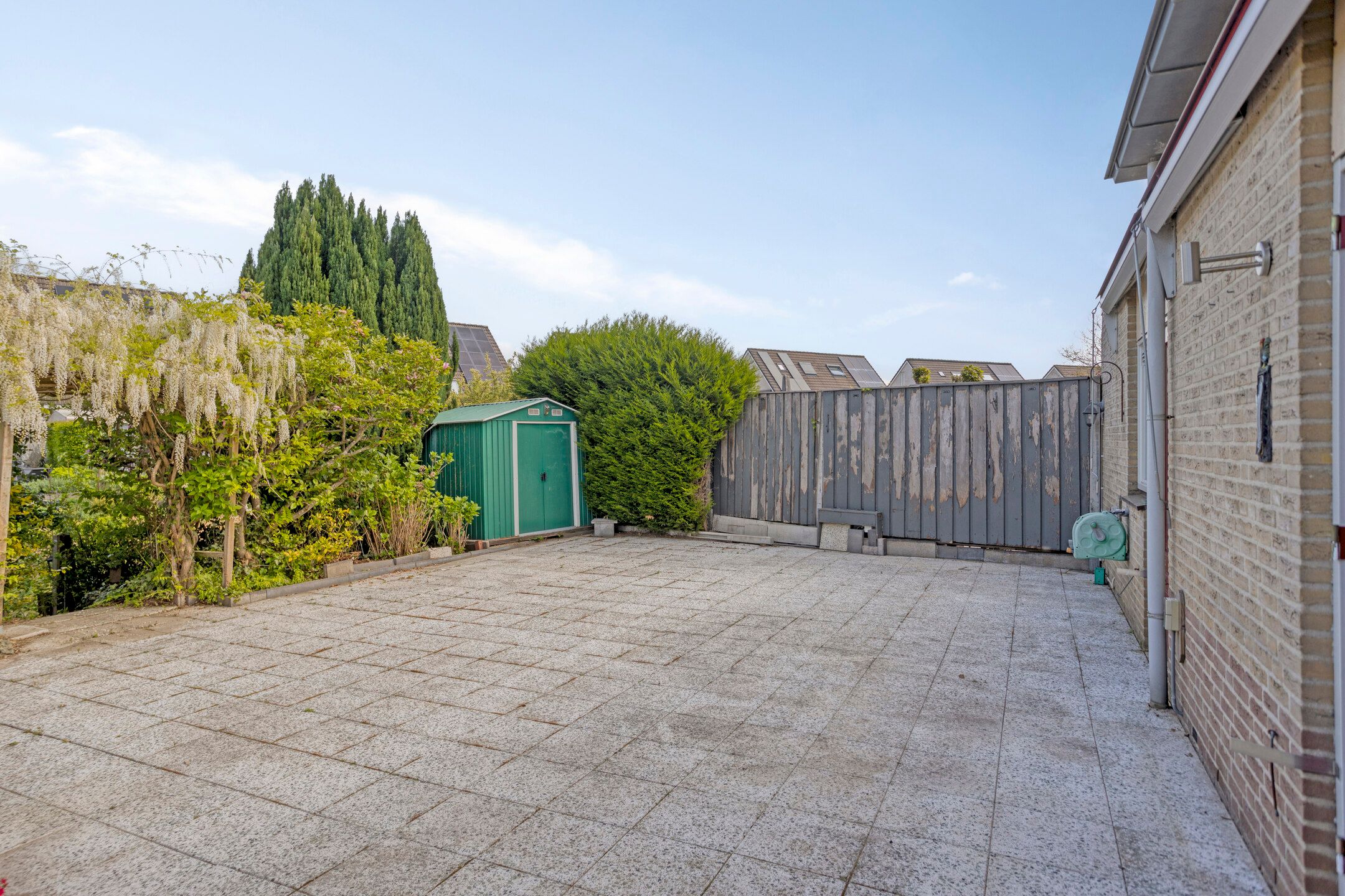 Foto 18 van Golden Delicious 58