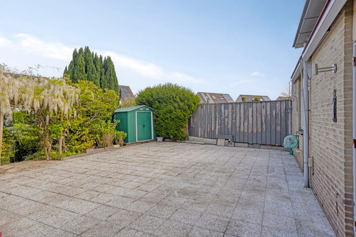 Foto 18 van Golden Delicious 58