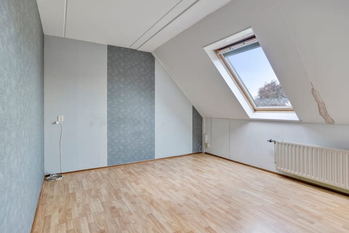 Foto 19 van Golden Delicious 58