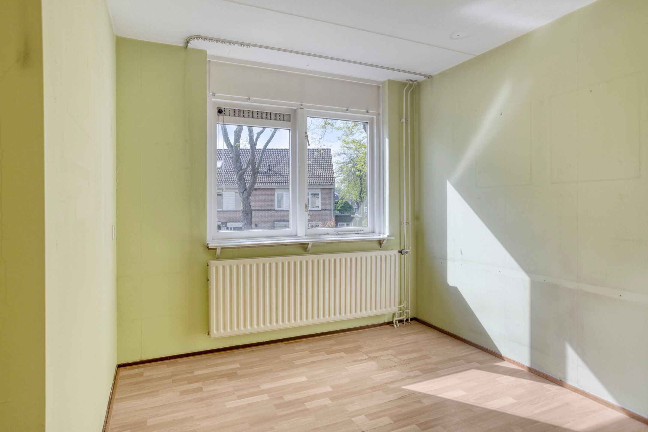 Foto 21 van Golden Delicious 58