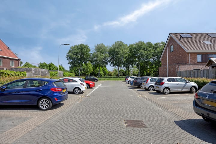 Foto 32 van Zeefdruk 27