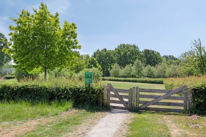 Foto 36 van Zeefdruk 27