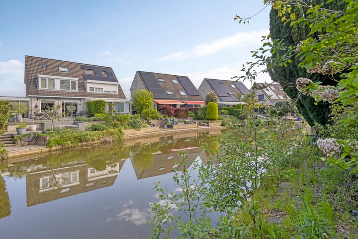 Foto 30 van Golden Delicious 58