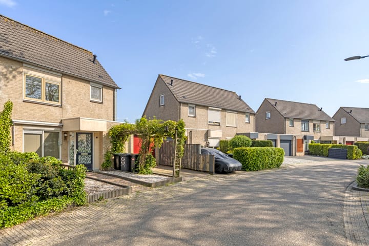 Foto 31 van Golden Delicious 58