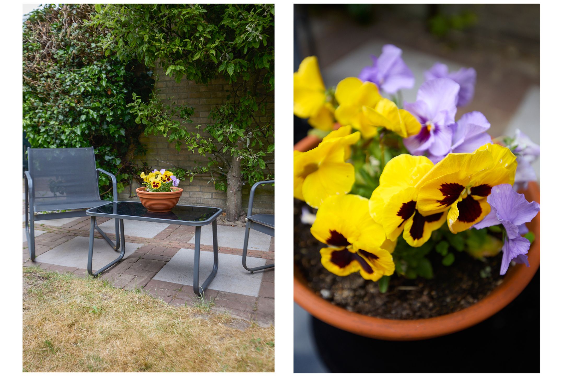 Foto 51 van Lodewijk van Deyssellaan 57