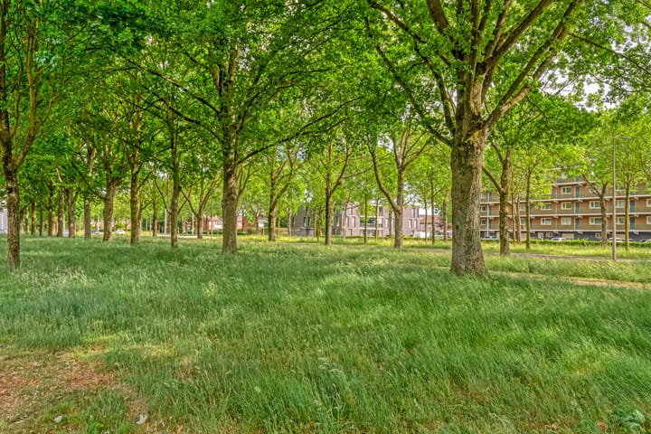 Foto 34 van Sibeliusstraat 755