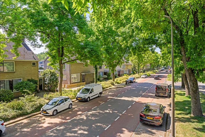 Foto 4 van Ds. Martin Luther Kingweg 34