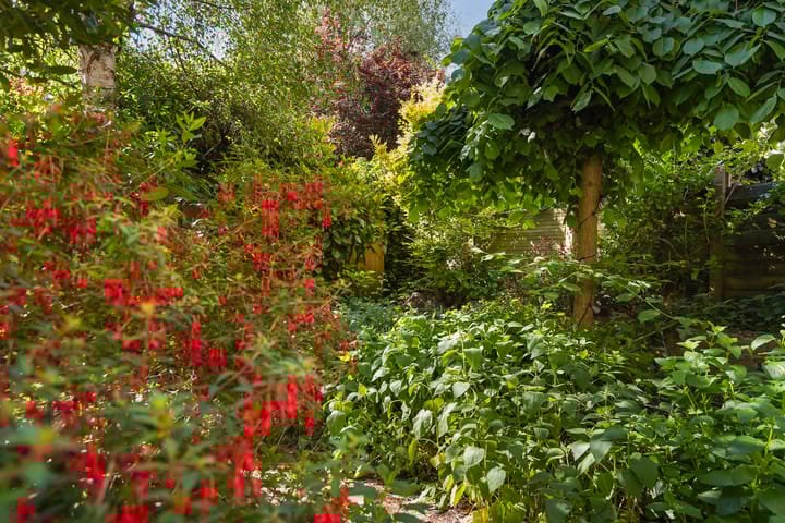 Foto 22 van Lunterenstraat 64