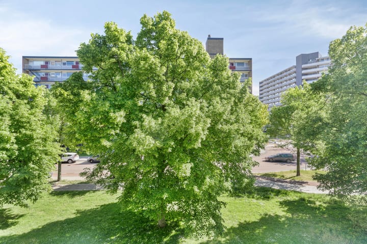 Foto 25 van Rossinistraat 37