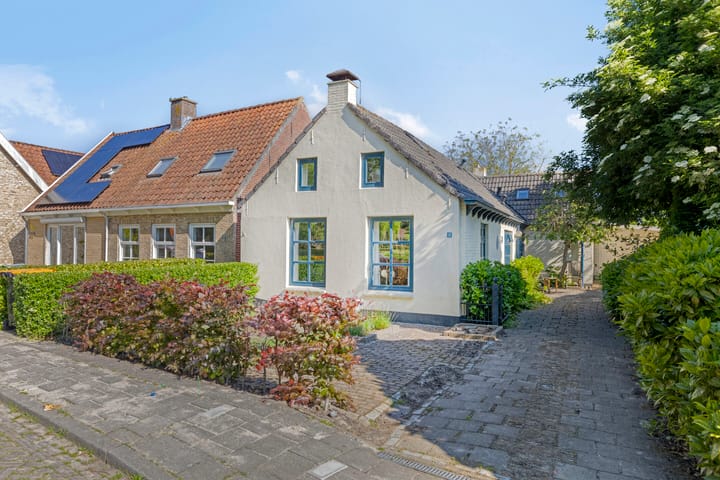 undefined main image
