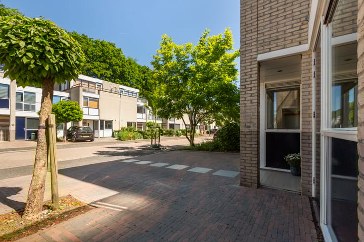 Foto 7 van IJsvogel 41