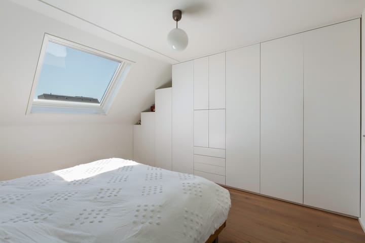 Foto 31 van IJsvogel 41