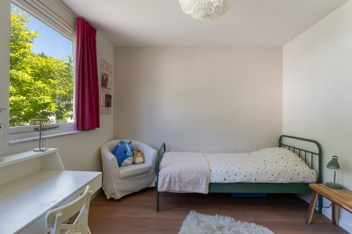 Foto 32 van IJsvogel 41