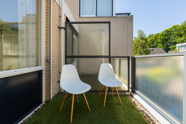 Foto 38 van IJsvogel 41