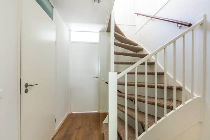 Foto 42 van IJsvogel 41