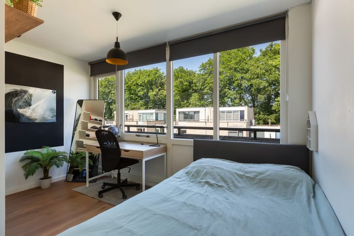 Foto 45 van IJsvogel 41