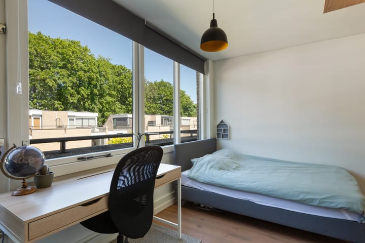 Foto 46 van IJsvogel 41