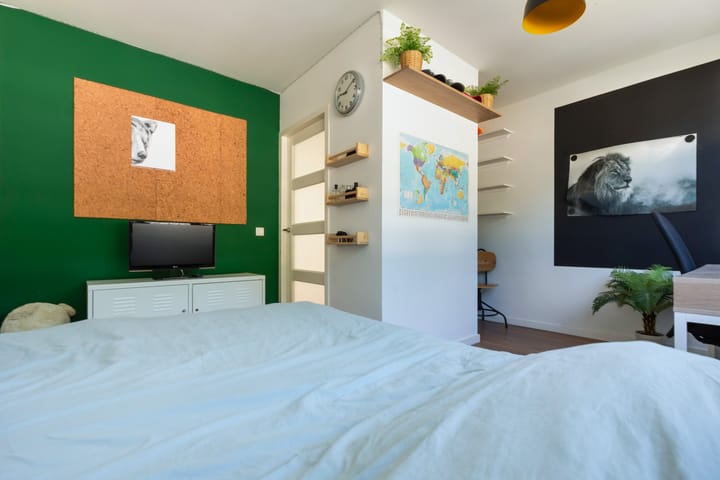 Foto 47 van IJsvogel 41