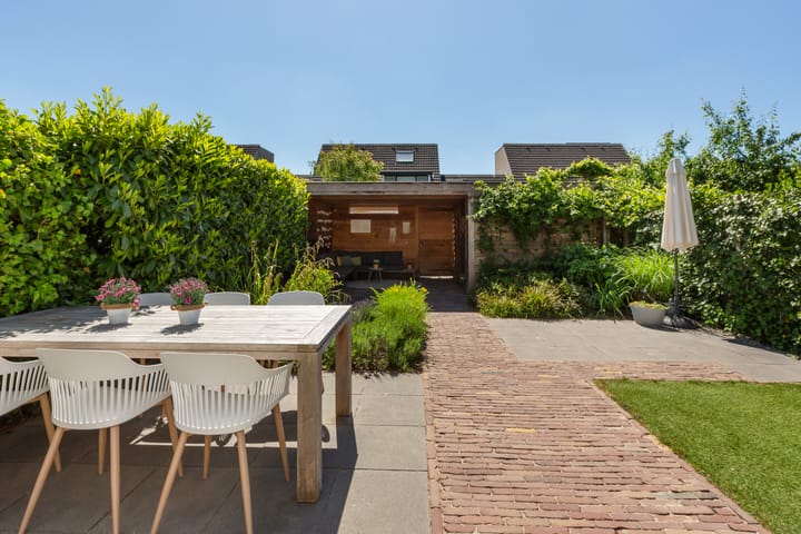 Foto 49 van IJsvogel 41