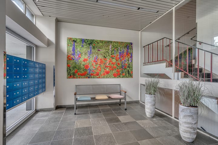 Foto 5 van Hogeschoorweg 150