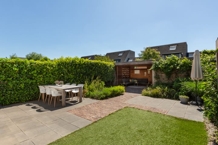 Foto 50 van IJsvogel 41