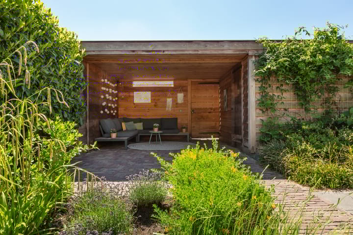 Foto 51 van IJsvogel 41