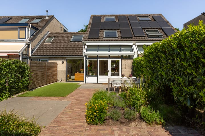 Foto 53 van IJsvogel 41