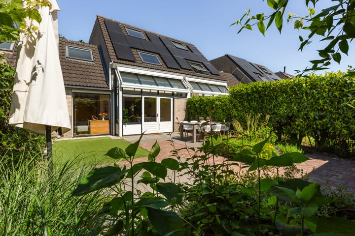 Foto 55 van IJsvogel 41