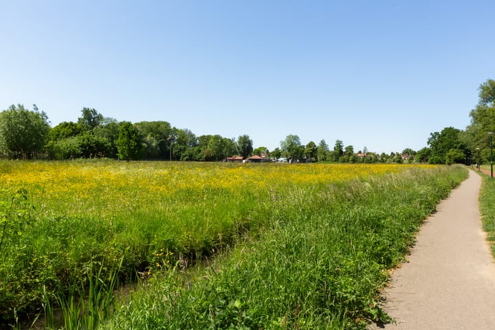 Foto 61 van IJsvogel 41