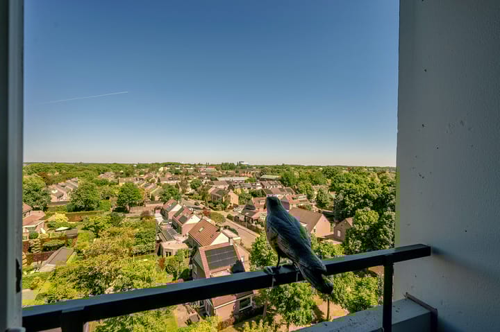 Foto 15 van Hogeschoorweg 150