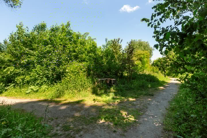 Foto 62 van IJsvogel 41