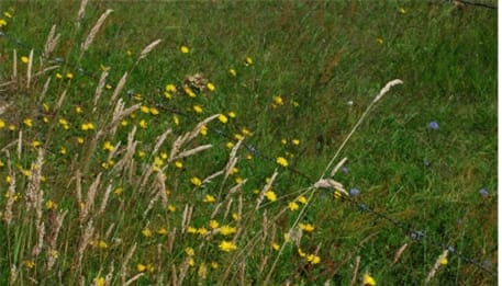 Foto 47 van Oude Hammerweg 11-A