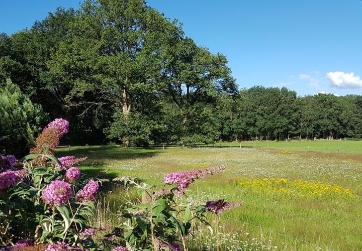 Foto 49 van Oude Hammerweg 11-A