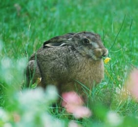 Foto 50 van Oude Hammerweg 11-A
