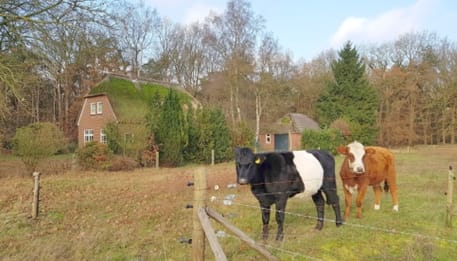 Foto 51 van Oude Hammerweg 11-A