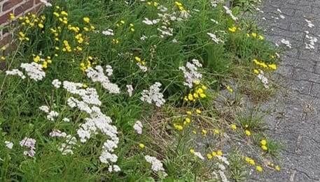 Foto 52 van Oude Hammerweg 11-A