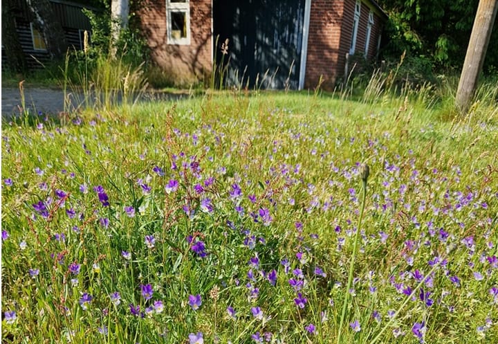 Foto 54 van Oude Hammerweg 11-A