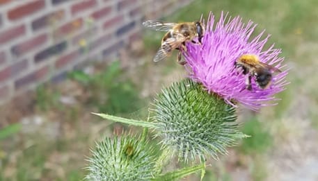 Foto 56 van Oude Hammerweg 11-A